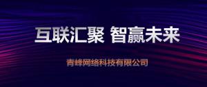 “互聯(lián)聚匯，智贏未來” 2019焦作青峰全網(wǎng)合作峰會(huì)***成功！